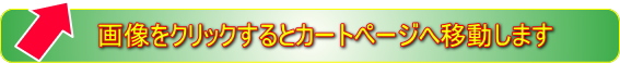 ヤフーストア店へ移動します