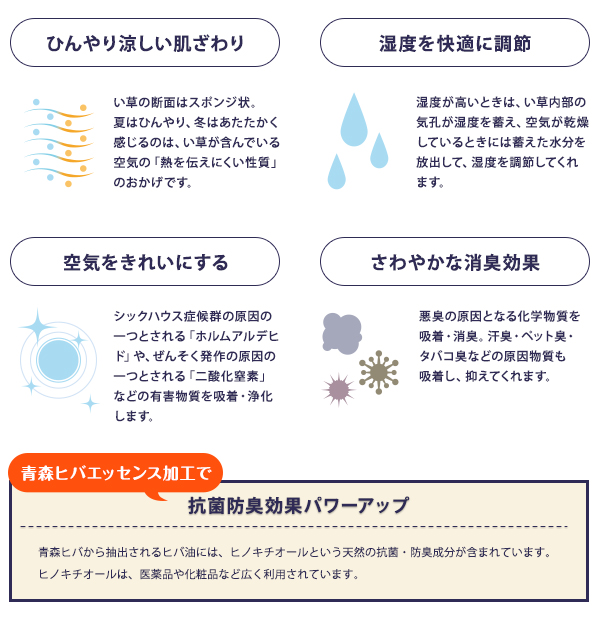 い草の断面はスポンジ状。夏はひんやり、冬はあたたかく感じるのは、い草が含んでいる空気の「熱を伝えにくい性質」のおかげです。