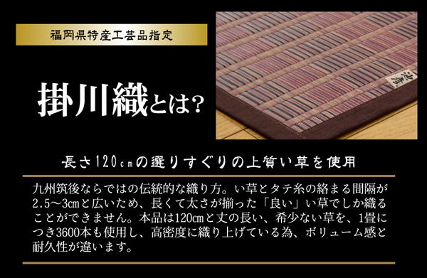 純国産掛川織い草カーペット「鍋島」