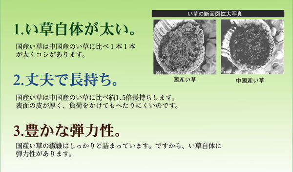 純国産掛川織い草カーペット「鍋島」