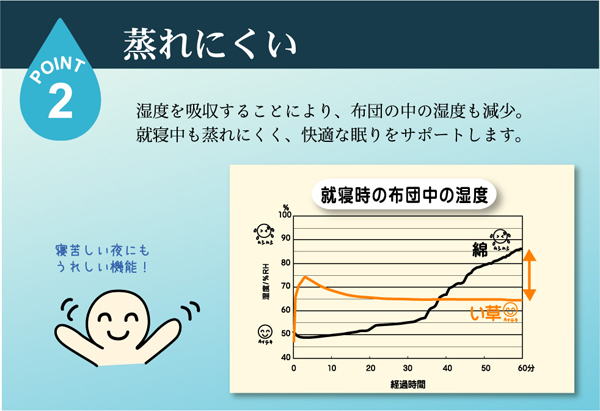 い草寝ござ