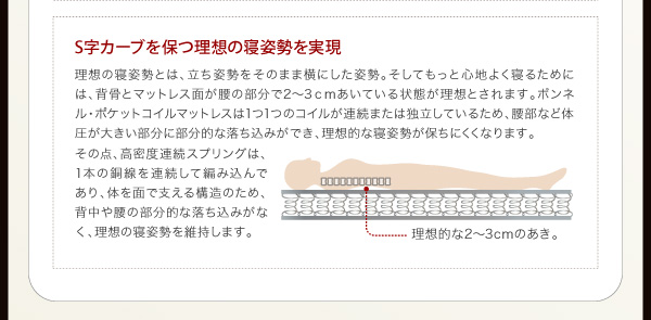 棚・コンセント付き収納ベッド【virzell】ヴィーゼル