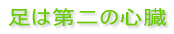 ���͑��̐S��
