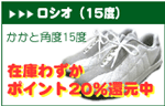 ���V�I�@�����Ɗp�x15�x