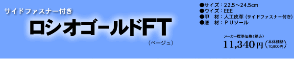 ���V�I�ް���FT�x�[�W��