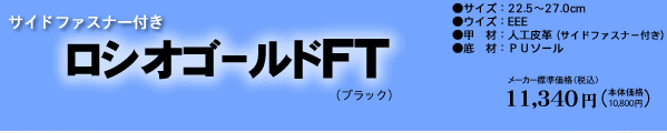 ���V�I�ް���FT�u���b�N