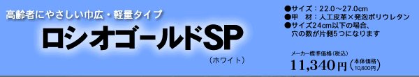 ���V�I�ް���SP�z���C�g