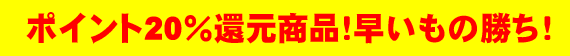 �݌ɂ킸���I�ŏI�����ɂ��������̏����I