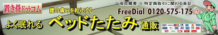 ���̒ɂ݂�a�炰��x�b�h�����ݐ���ʔ�