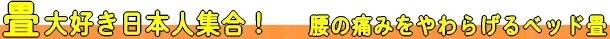 ����D�����{�l�W���@���̒ɂ݂�a�炰��x�b�h��