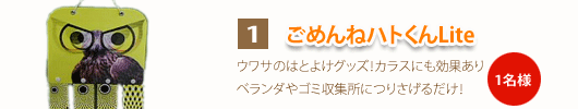 ���߂�˃n�g����