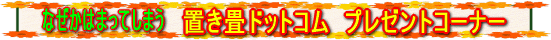 �u����h�b�g�R���@�v���[���g�R�[�i�[